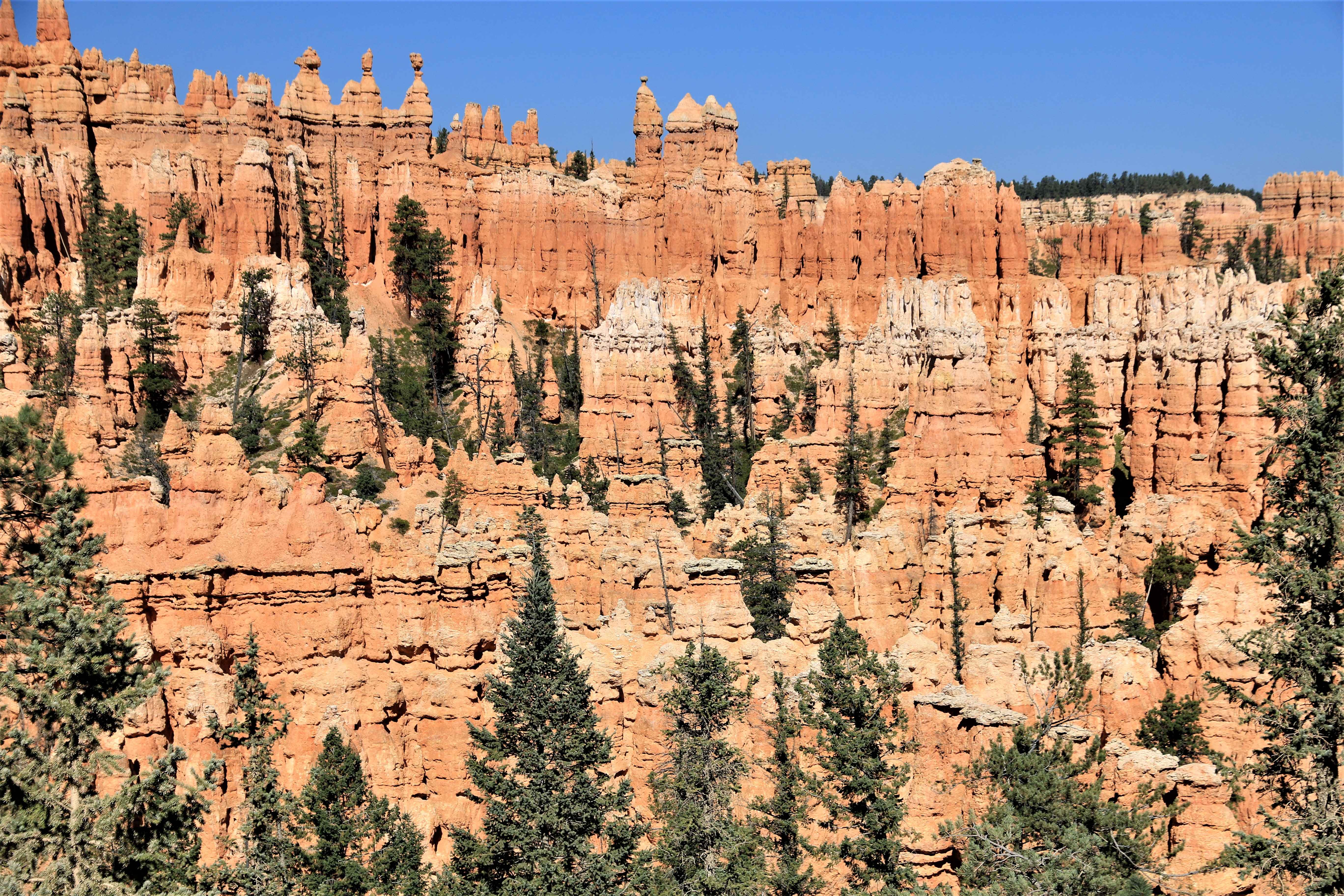 Bryce Canyon NP